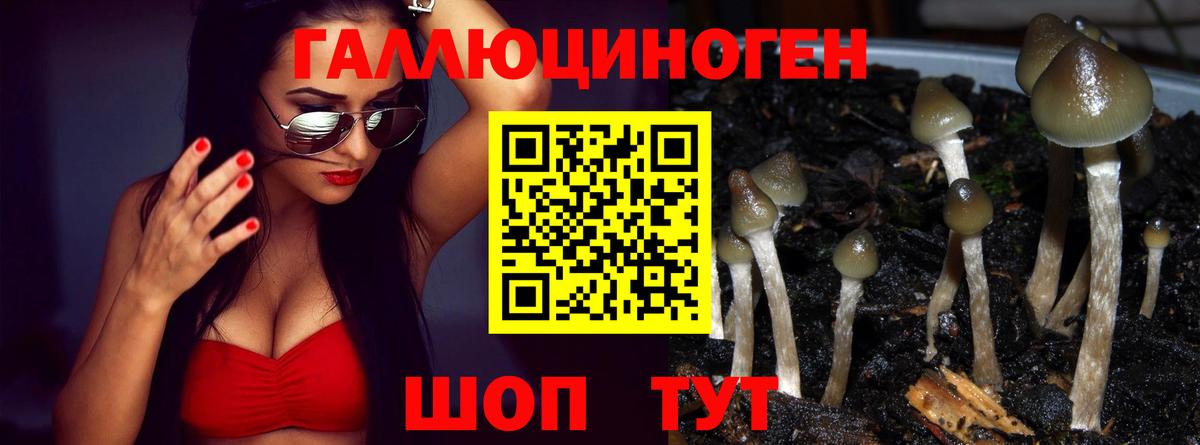 Галлюциногенные грибы мухоморы Можайск