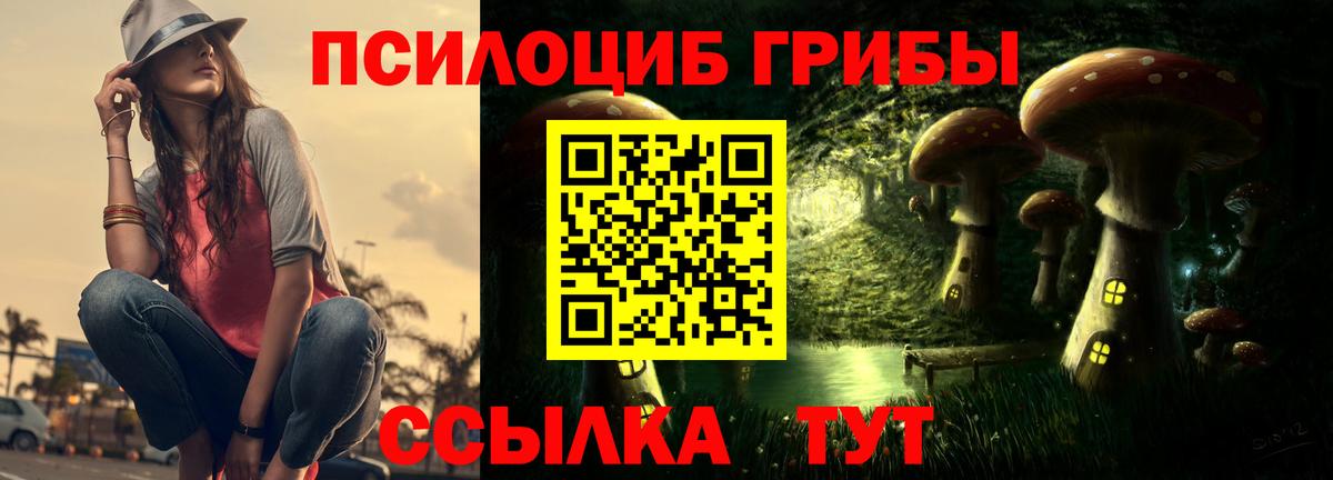 Галлюциногенные грибы Psilocybine cubensis  Вход с VPN  Можайск 